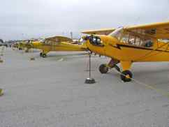 Piper J-3 Cub Row at Watsonville Piper J-3 Cub Row at Watsonville