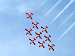 Canadian Snowbirds