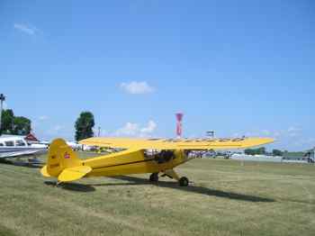 Cub in Oshkosh in Vintage Aircraft Parking