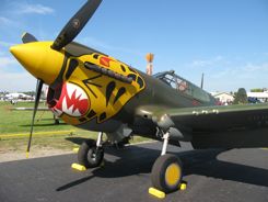 P-40 Warhawk with the Aleutian Tiger paint job.... Now that is the real deal... but...