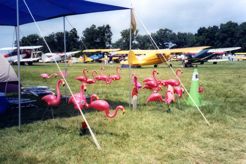 Some Exhibitors Camp at Oshkosh Too! Some Exhibitors Camp at Oshkosh Too!