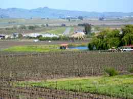 Schellville Airport Sonoma from Gloria Ferrer Winery