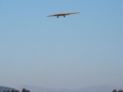 And when it's flying at you.... it's hard to see!