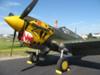 P-40 Warhawk with the Aleutian Tiger paint job.... Now that is the real deal... but...